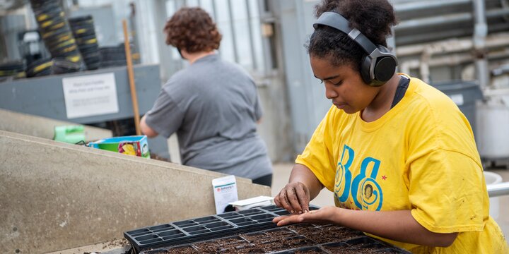 Student planting seeds in greenhouse.