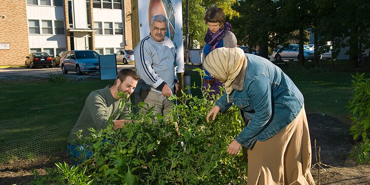 Volunteers in the Peace Garden to the west of the First Mennonite Church (part of a mission project for Faith in Place), that was coordinated by Former NRES graduate, and now Urbana Theological Seminary student, Brian Sauder. Pictured here (left to right) are Brian Sauder, A. Hermes, Celeste Larkin, and Fatemah Hermes.